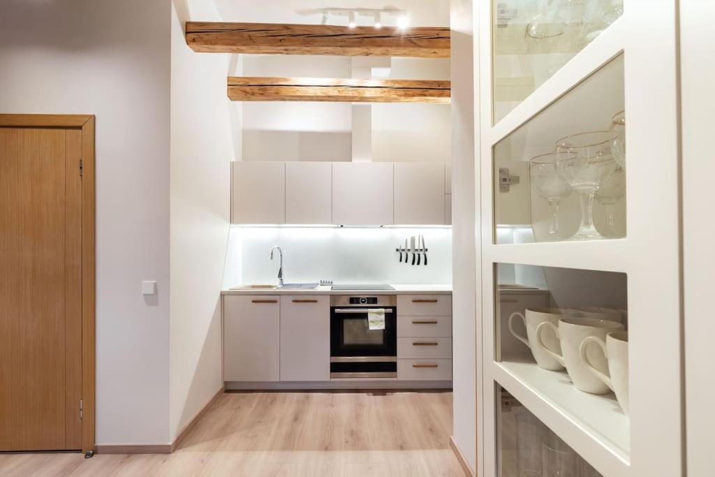 Luxury Apartment In Gedimino Av. VNO Exterior foto